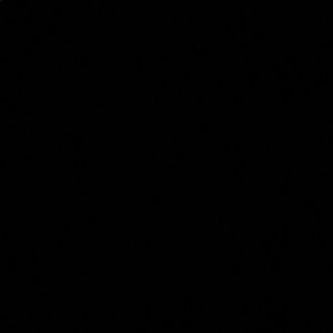 Meet your Posher, Paulette